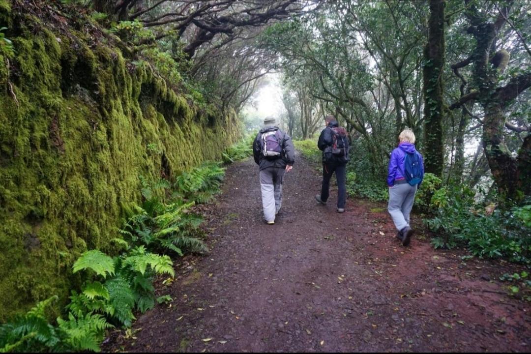 Armonia Park, Tenerife Бахамар Екстериор снимка